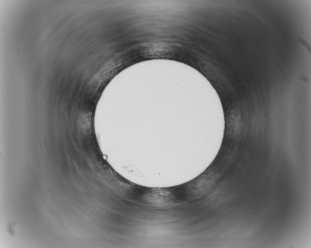 X0000103940278200810171822