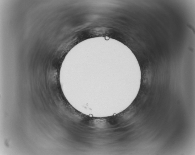 X0000103940279200810171822