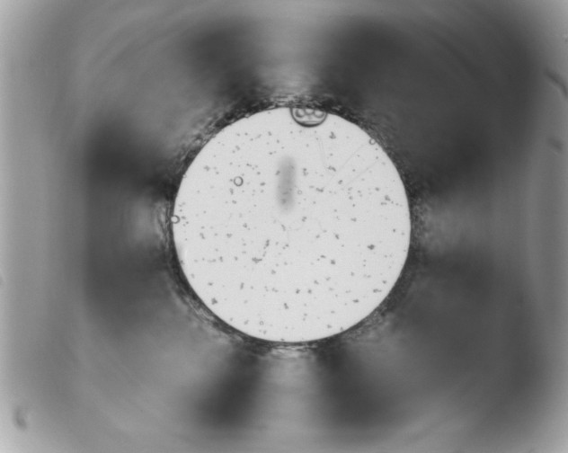 X0000103940280200810171822