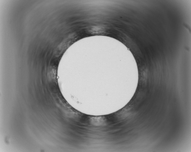 X0000103940281200810171822