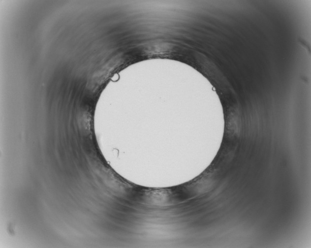 X0000103940282200810171822