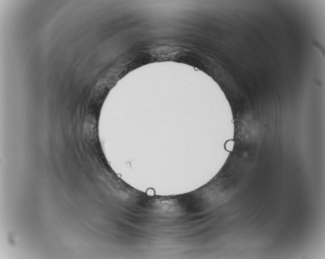 X0000103940283200810171822