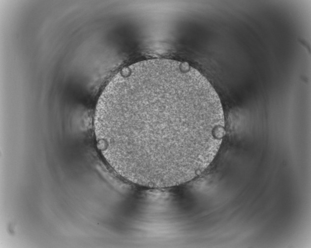 X0000103940284200810171822