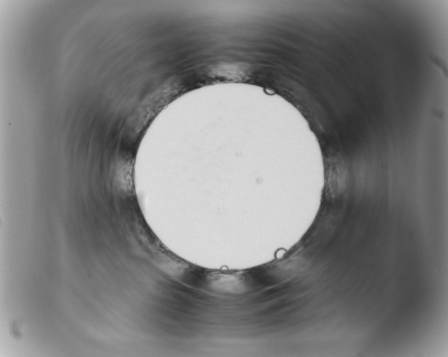 X0000103940285200810171822