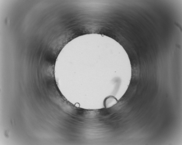 X0000103940286200810171822