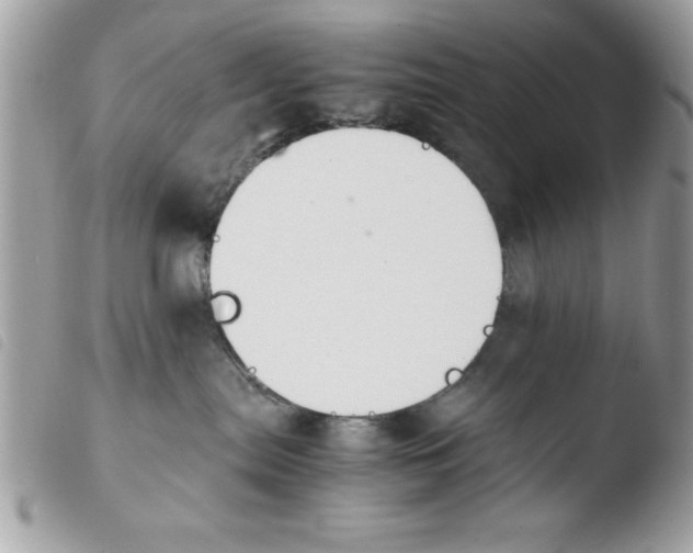 X0000103940287200810171822