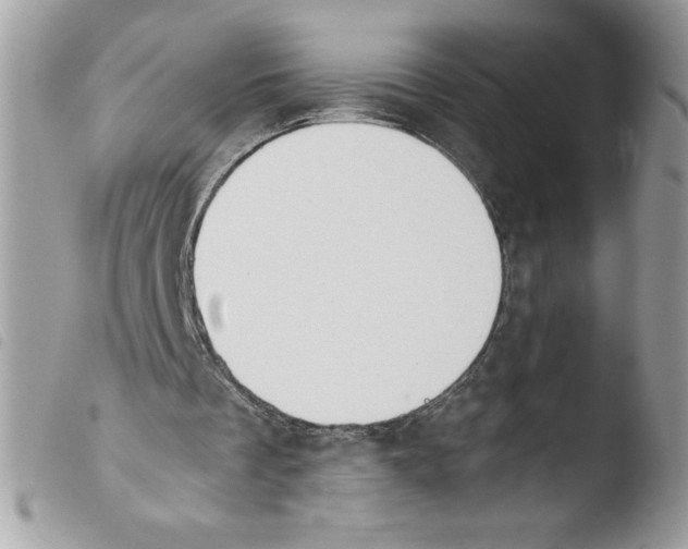 X0000103940289200810171821