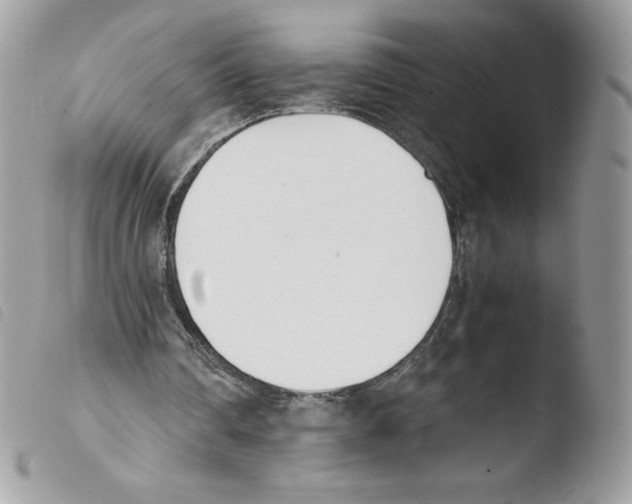 X0000103940290200810171821