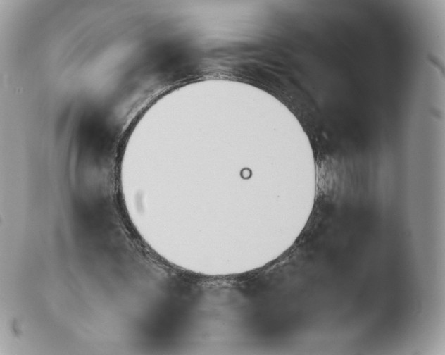 X0000103940291200810171821