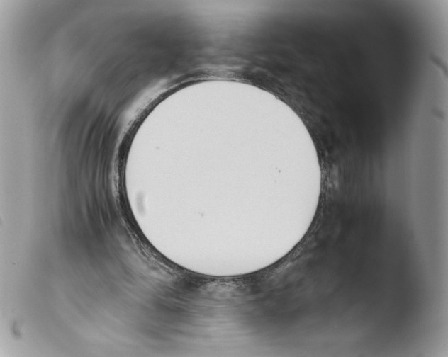 X0000103940294200810171821