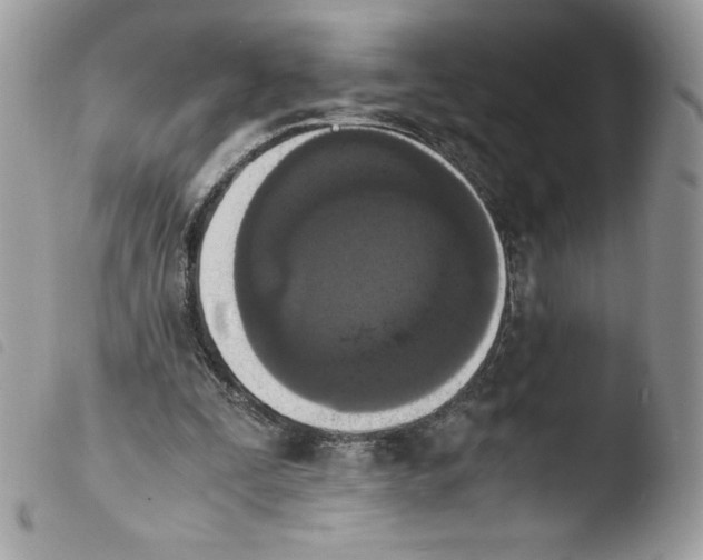 X0000103940295200810171821