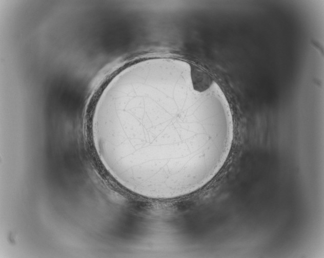 X0000103940296200810171821