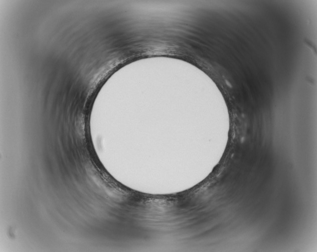 X0000103940298200810171821