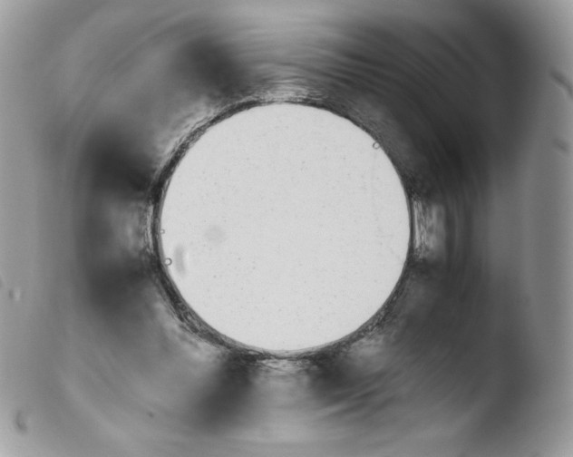 X0000103940300200810171821