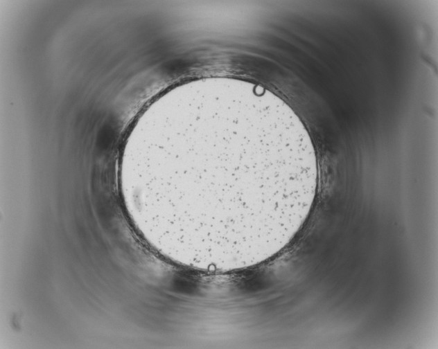 X0000103940301200810171821