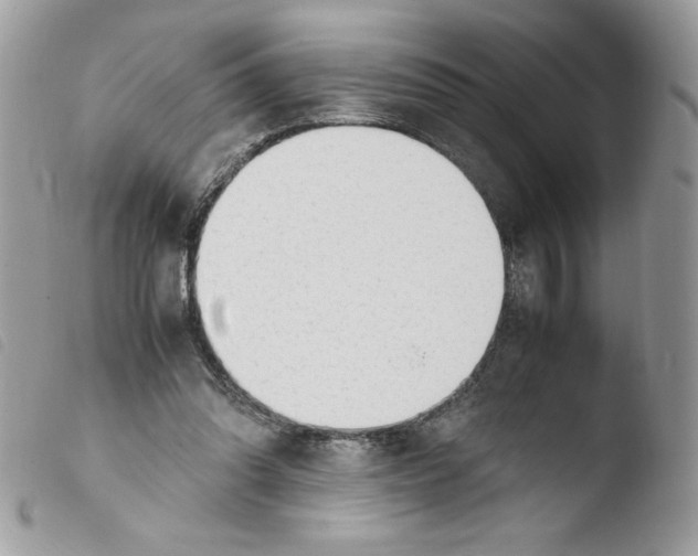 X0000103940302200810171821