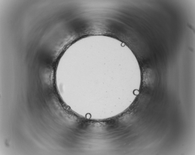 X0000103940304200810171821