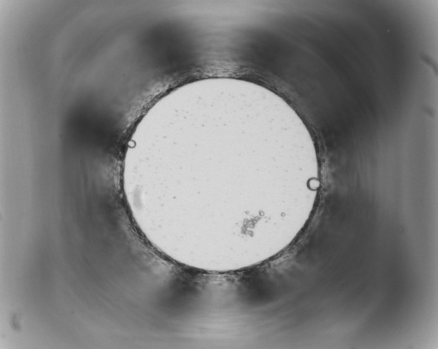 X0000103940305200810171821