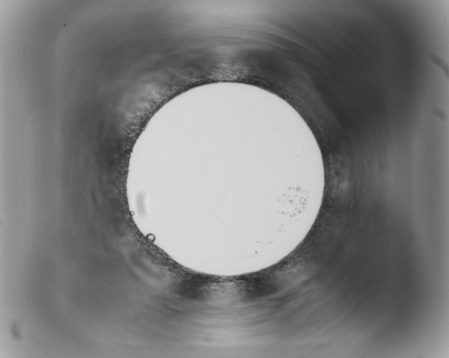 X0000103940307200810171821