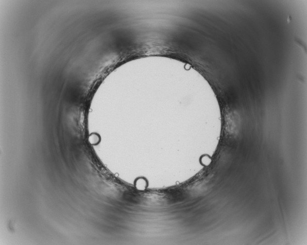 X0000103940308200810171821