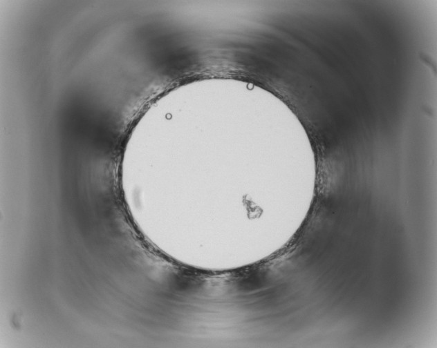 X0000103940309200810171821