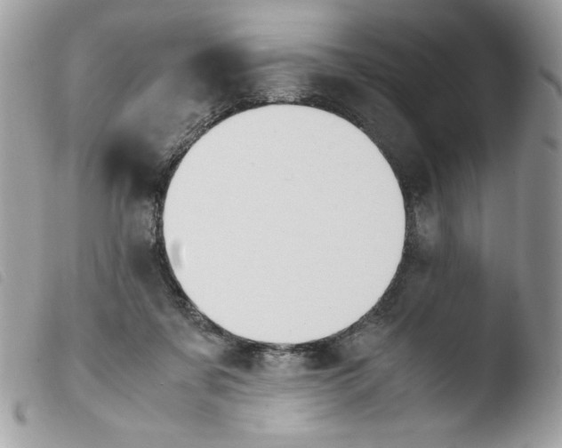 X0000103940311200810171821