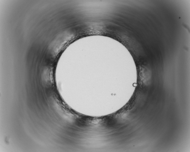 X0000103940312200810171821