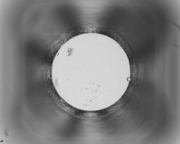 X0000103940313200810171821