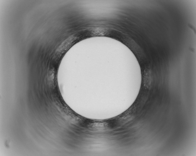 X0000103940314200810171821