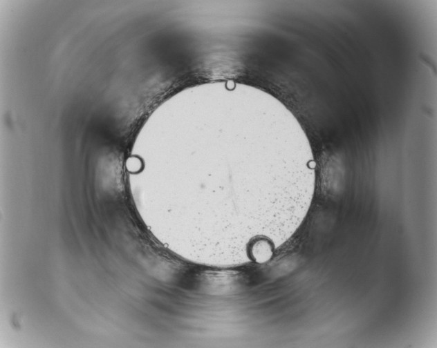 X0000103940316200810171821