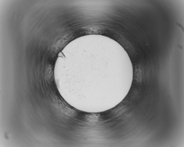 X0000103940318200810171821