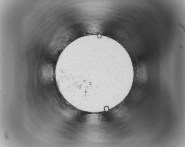 X0000103940320200810171821