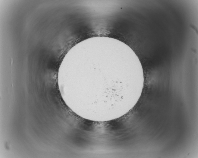 X0000103940321200810171821