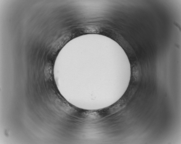 X0000103940322200810171821