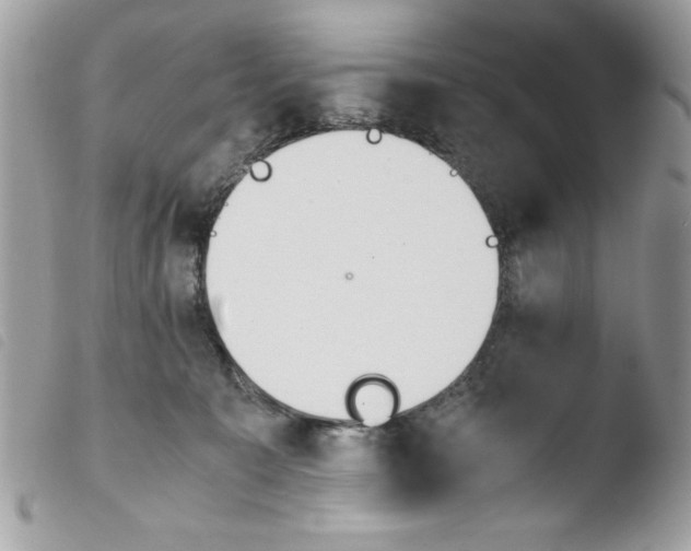 X0000103940323200810171821