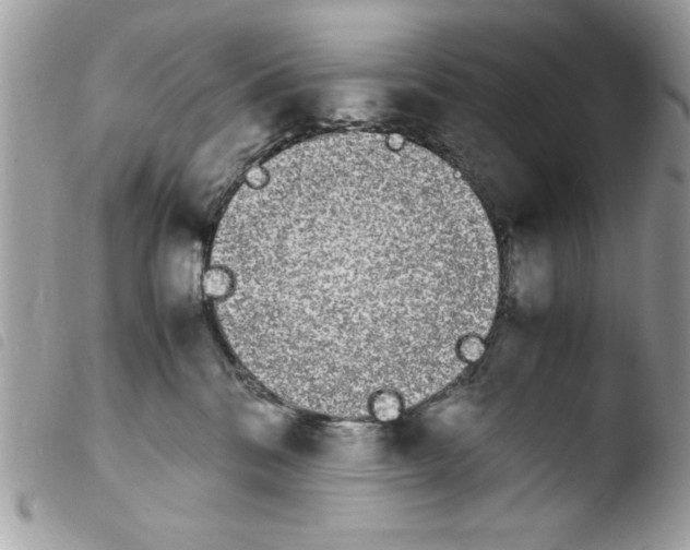 X0000103940328200810171821