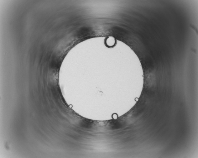 X0000103940329200810171821