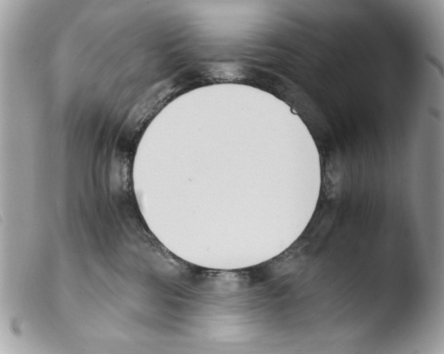 X0000103940330200810171821