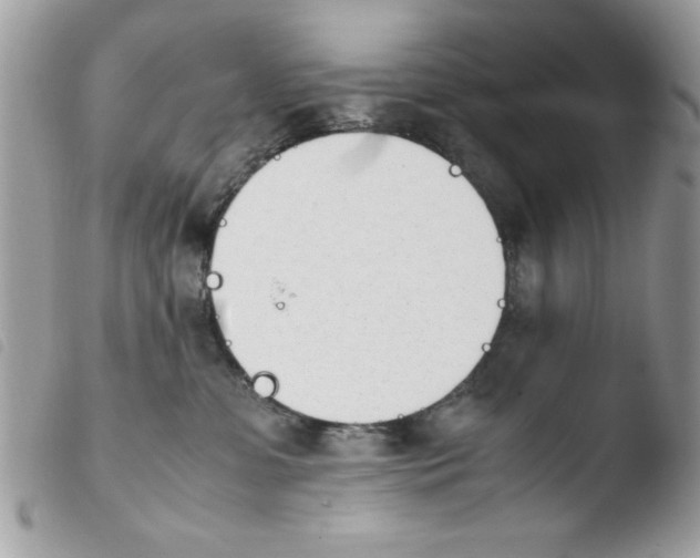 X0000103940331200810171821