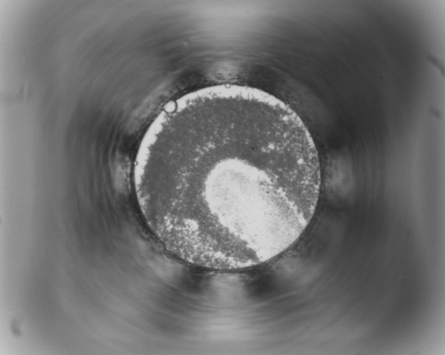 X0000103940332200810171821