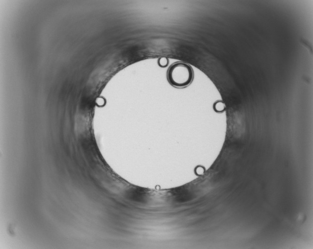 X0000103940333200810171821