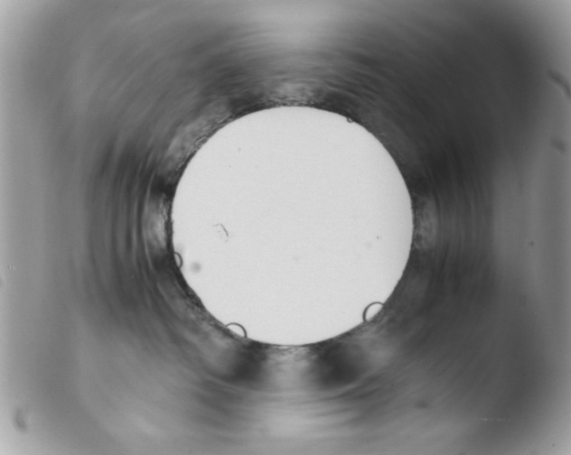 X0000103940334200810171821