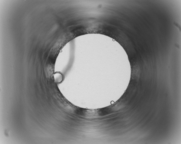 X0000103940335200810171821