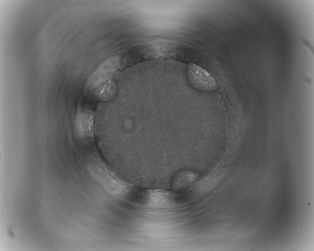 X0000103940336200810171821