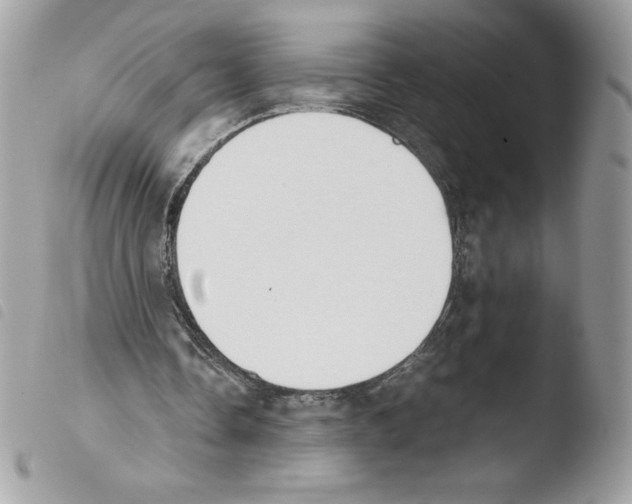 X0000103940338200810171820