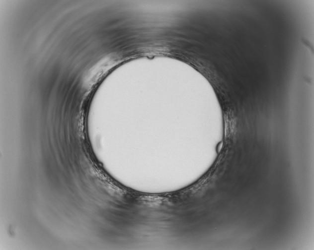 X0000103940339200810171820