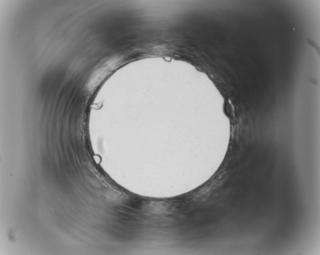 X0000103940341200810171820