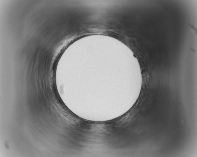 X0000103940342200810171820