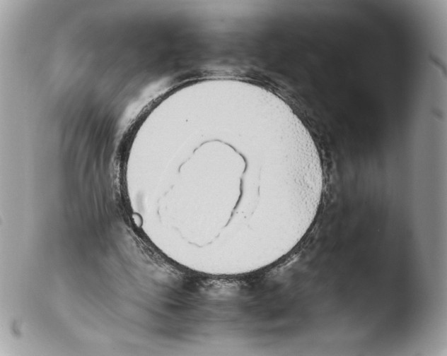 X0000103940343200810171820