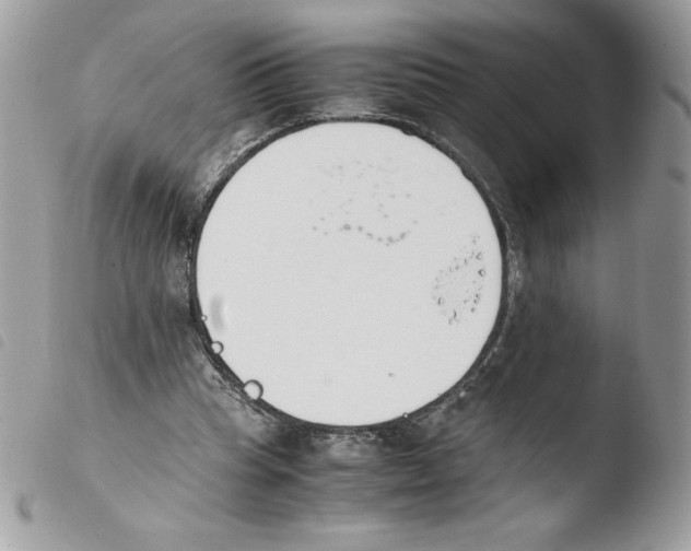 X0000103940345200810171820